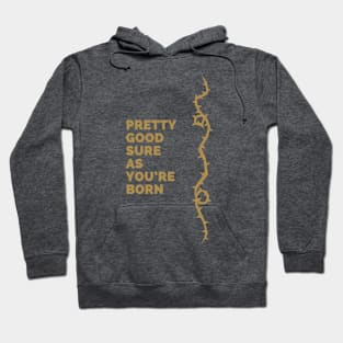 Sure as you're born Hoodie